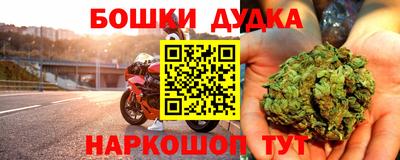 гидра Кохма