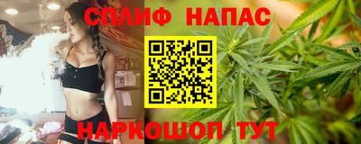 гидра Кохма