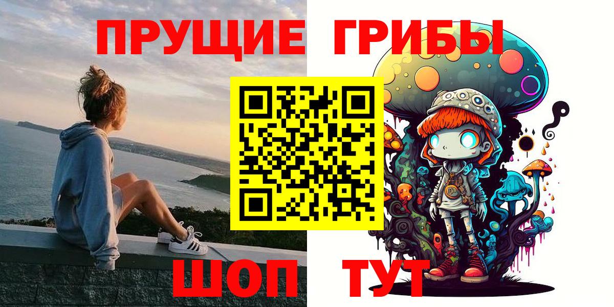Галлюциногенные грибы GOLDEN TEACHER  закладка  Кудрово  Вход с VPN 